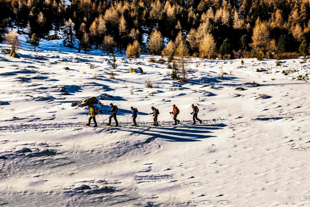 Group of hikers walking through a snowy winter landscape with trees, experiencing adventure and nature.