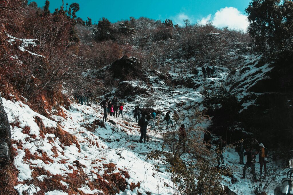 Group trekking through snowy landscape in Dhanolti, India during winter.